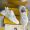 Fendi Flow Sneakers Men Caiman Leather White
