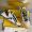 Fendi Flow Sneakers Men Mesh and Suede Yellow