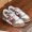 Fendi Match Compact Sneakers Unisex Leather Multicolor
