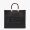 Fendi Medium Sunshine Shopper Bag In FENDI ROMA Motif Calfskin Black