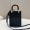 Fendi Mini Sunshine Shopper Bag In FENDI ROMA Motif Calfskin Black