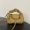 Fendi Small Spy Bag In Calfskin Camel