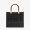Fendi Small Sunshine Shopper Bag In FENDI ROMA Motif Calfskin Black
